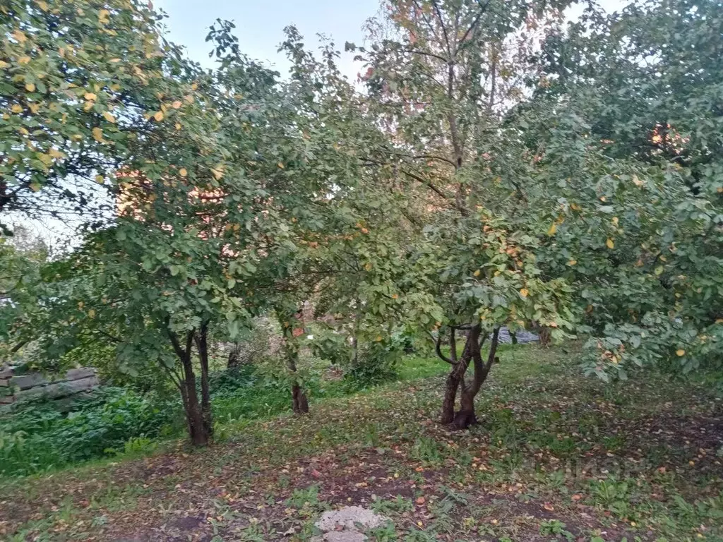 Участок в Новгородская область, Великий Новгород Морозовская ул. (8.4 ... - Фото 2