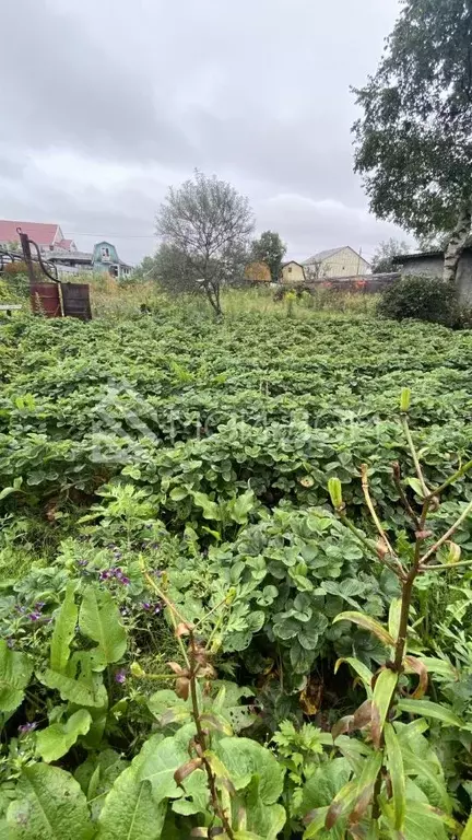 Участок в Сахалинская область, Южно-Сахалинск Ласточка СДТ,  (6.85 ... - Фото 2