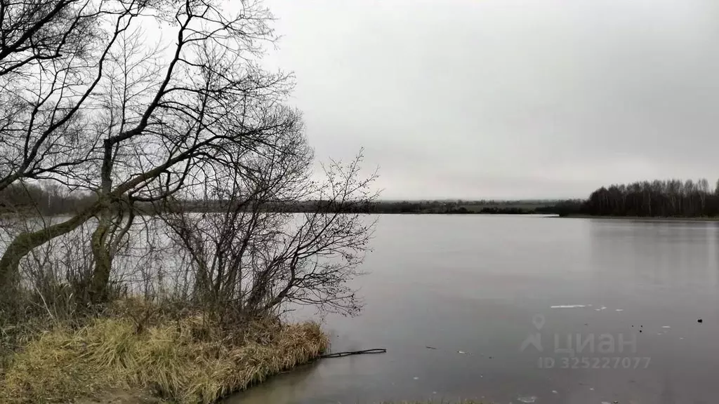 Участок в Московская область, Клин городской округ, д. Давыдково  ... - Фото 2