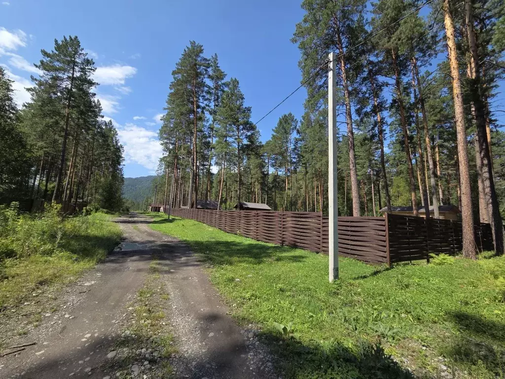 Дом в Алтай, Чемальский район, пос. Усть-Сема ул. Чуйская (35 м) - Фото 2