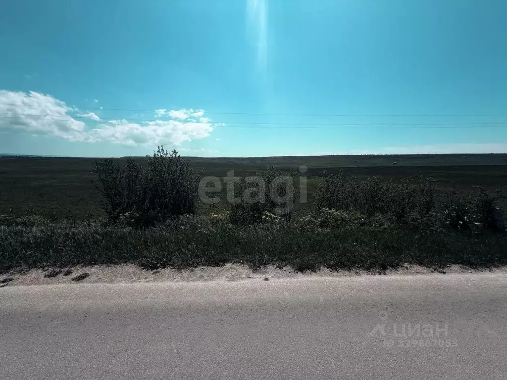Участок в Крым, Симферопольский район, Чистенское с/пос, с. Камышинка  ... - Фото 1