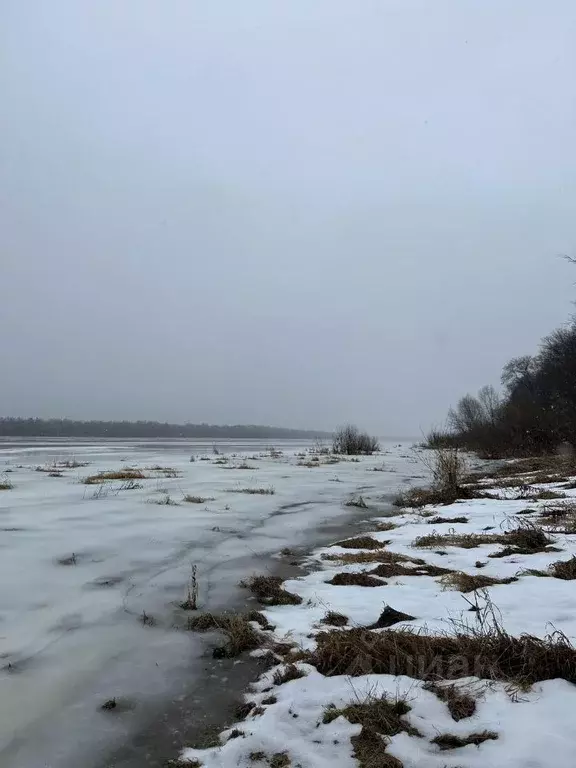 Участок в Нижегородская область, Горбатов Павловский район,  (10.0 ... - Фото 1