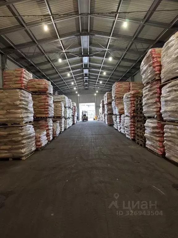 Склад в Московская область, Раменское ул. Михалевича, 70а (1296 м) - Фото 1