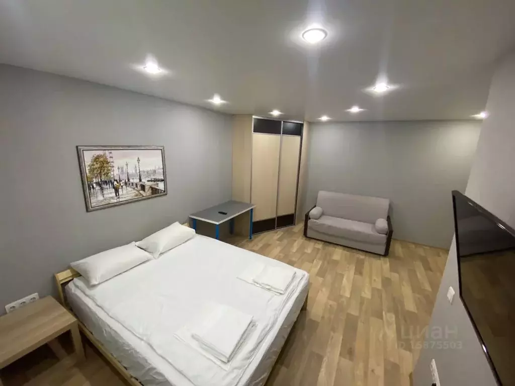 1-к кв. Татарстан, Казань ул. Курашова, 30 (30.0 м) - Фото 1