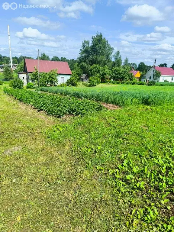 Дом в деревня Михейково, Луговая улица, 5 (59.4 м) - Фото 1