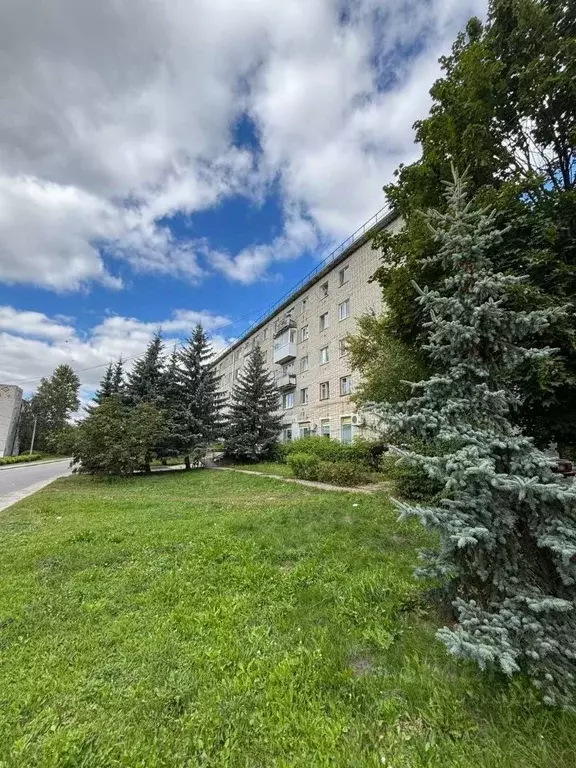 1-к кв. Брянская область, Навля рп ул. Генерала Петренко, 2 (30.0 м) - Фото 2