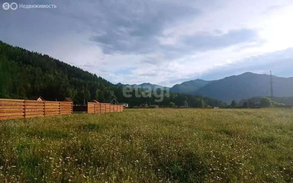 Участок в Чемальский район, село Турбаза Катунь (7.5 м) - Фото 0