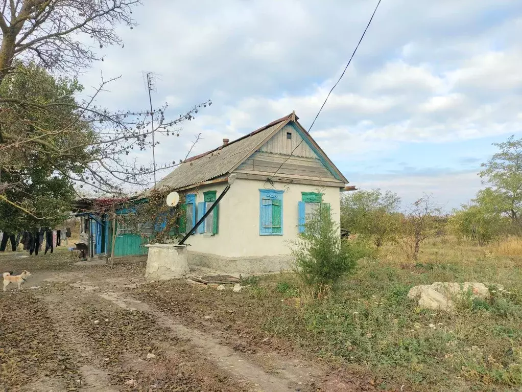 Дом в Краснодарский край, Кущевский район, Шкуринская ст-ца ул. ... - Фото 0