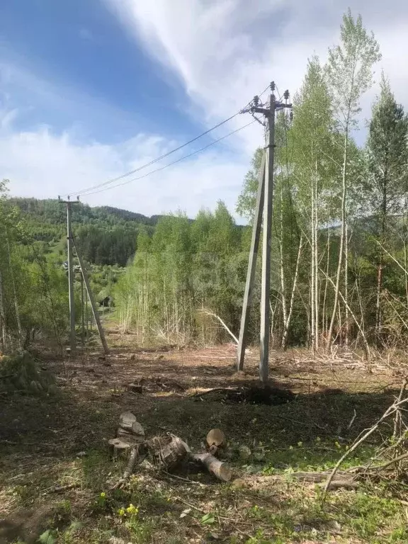 Участок в Алтай, Горно-Алтайск ГТФ СНТ, 17 (5.6 сот.) - Фото 1