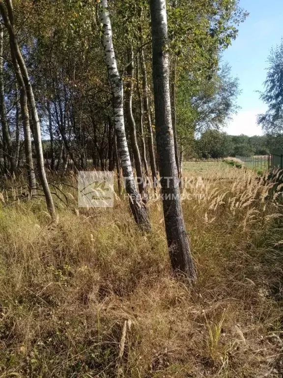 Участок в Московская область, Павлово-Посадский городской округ, д. ... - Фото 2