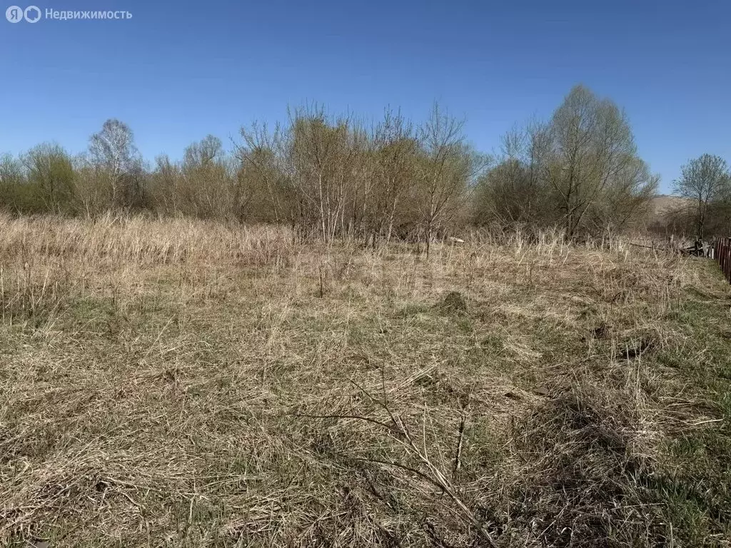 Участок в Алтайский район, Айский сельсовет, село Ая (16.95 м) - Фото 2