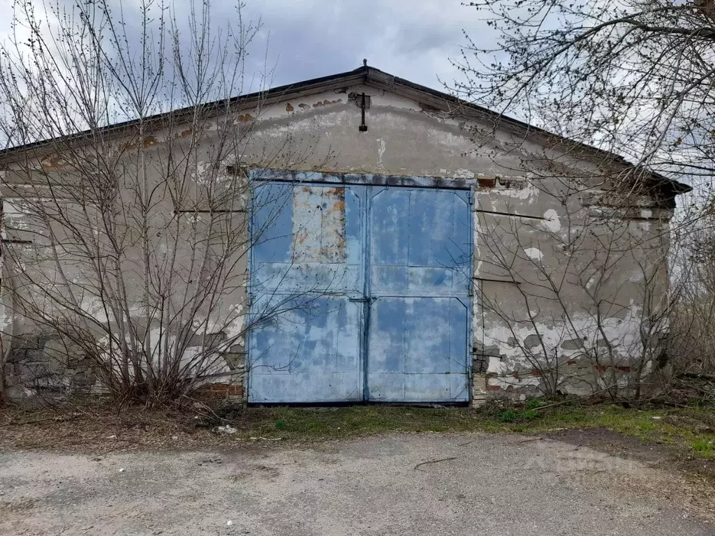 Помещение свободного назначения в Пензенская область, Пачелма рп пер. ... - Фото 2