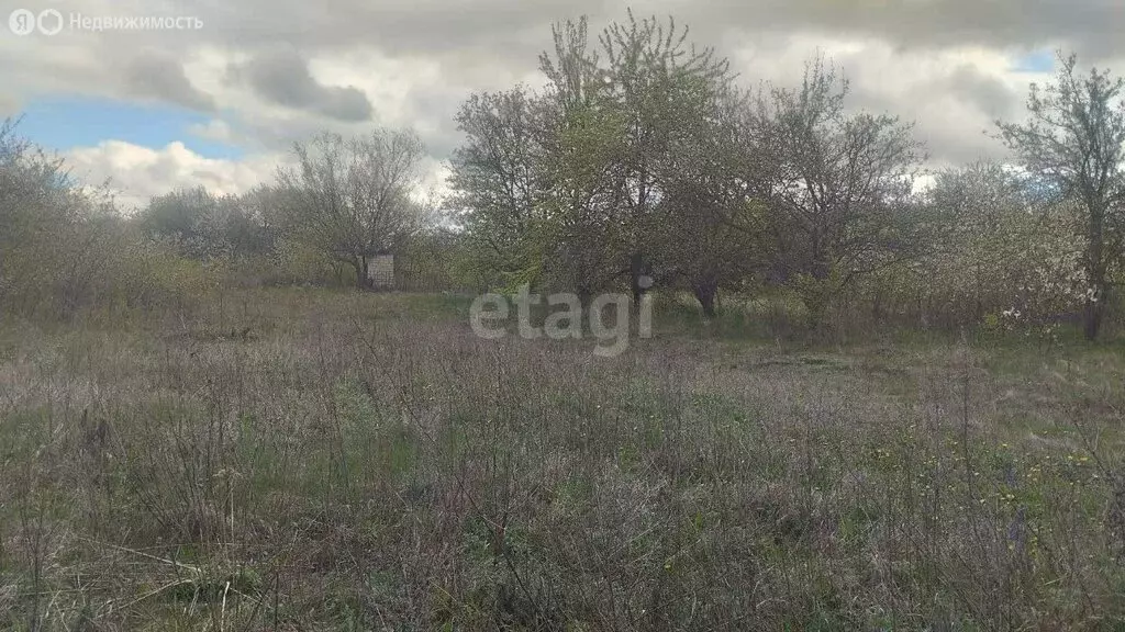 Участок в Корочанский район, Мелиховское сельское поселение, садовое ... - Фото 2