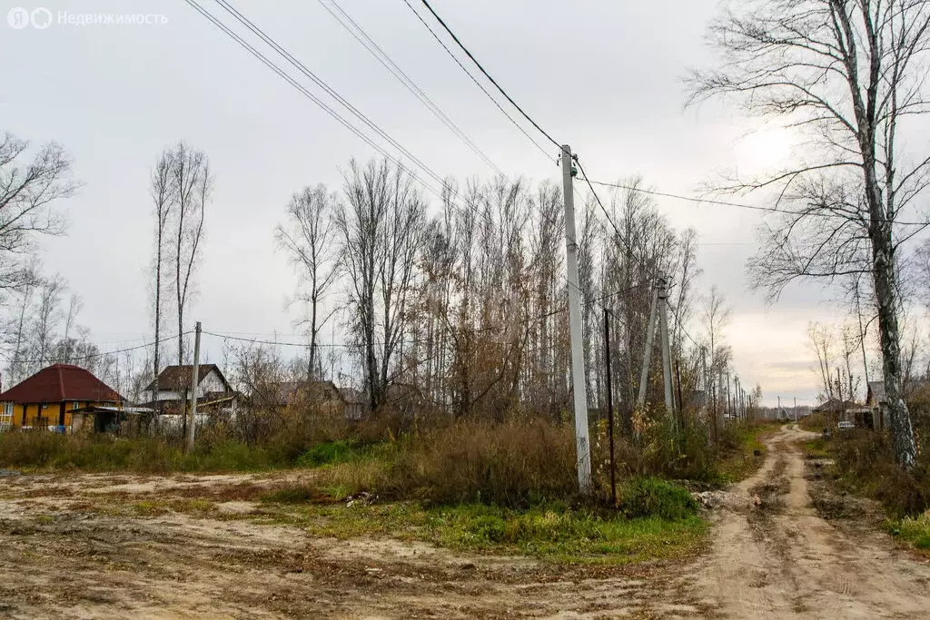 Участок в Новосибирский район, Криводановский сельсовет, село Марусино ... - Фото 1