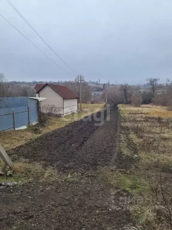 Участок в Белгородская область, Белгородский район, с. Стрелецкое ... - Фото 1