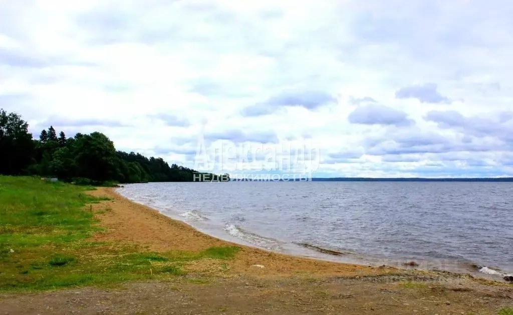 Участок в Ленинградская область, Приозерский район, Плодовское с/пос, ... - Фото 0