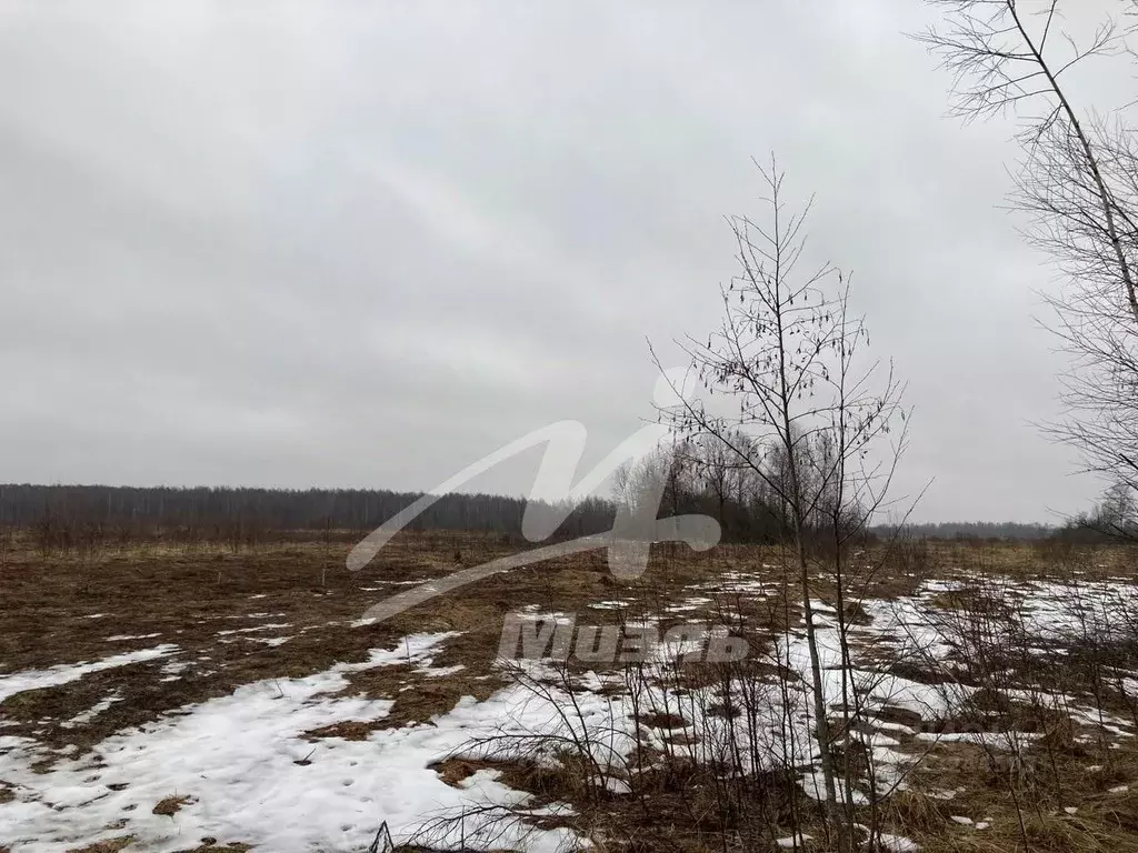 Участок в Тверская область, Зубцовский муниципальный округ, д. Бубново ... - Фото 1