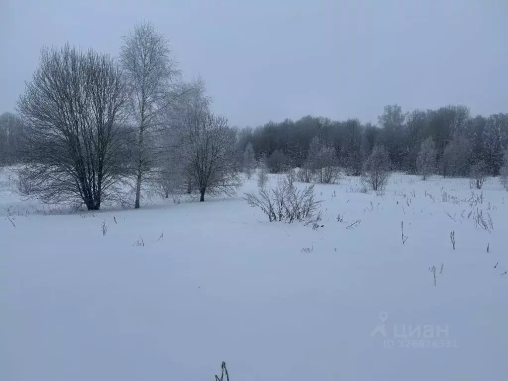 Участок в Московская область, Клин городской округ, д. Ковылино  ... - Фото 0