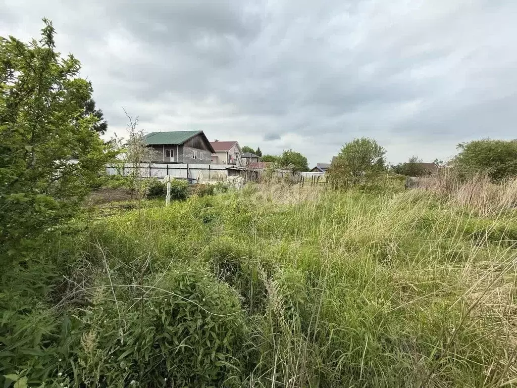 Участок в Хабаровский край, Хабаровский район, Тополевское с/пос, с. ... - Фото 2