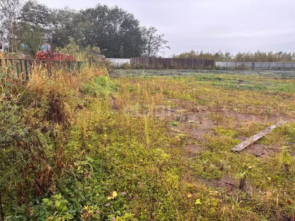 Участок в Сахалинская область, Анивский городской округ, с. Рыбацкое  ... - Фото 1