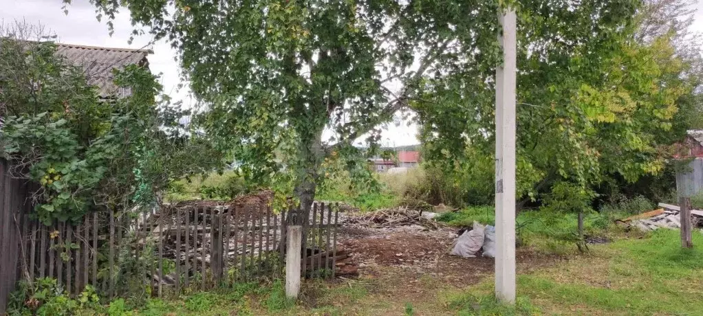 Участок в Амурская область, Благовещенский район, с. ... - Фото 1