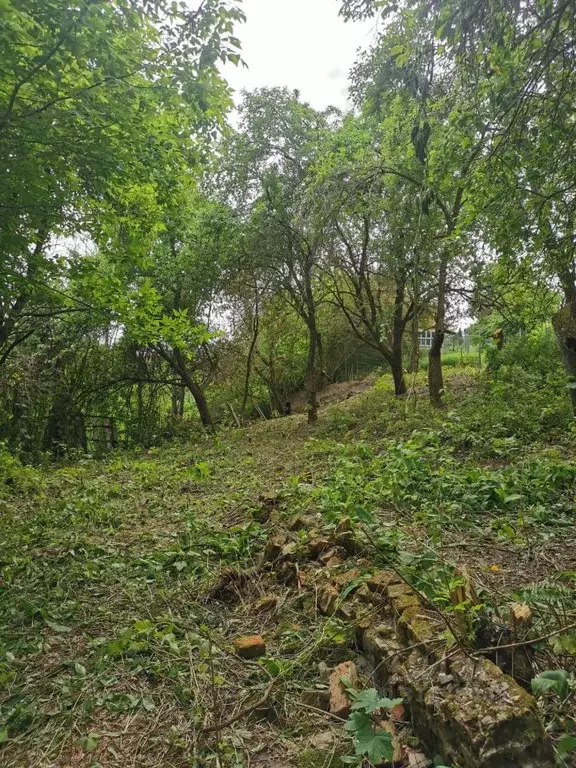 Дом в Брянская область, Брянск Родина садоводческое объединение,  (40 ... - Фото 1