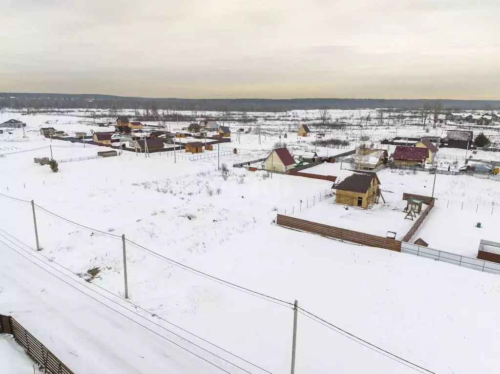 Участок в Новосибирская область, Новосибирский район, Кубовинский ... - Фото 0