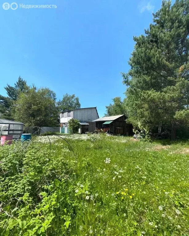 Участок в Иркутский муниципальный округ, СНТ Дражное (13 м) - Фото 1