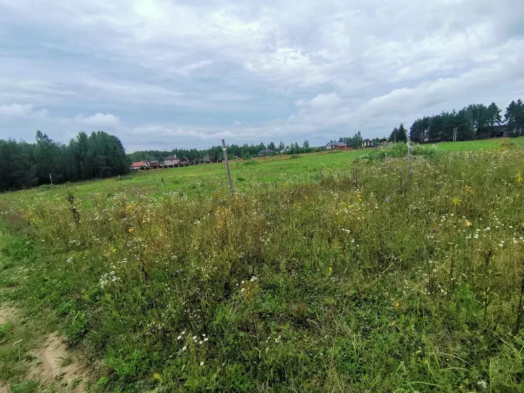 Участок в Ивановская область, Ивановский район, Беляницкое с/пос, Елки ... - Фото 1