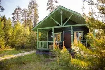 Дом в Карелия, Олонецкий район, Коверское с/пос, д. Сяндеба 51 (45 м) - Фото 1