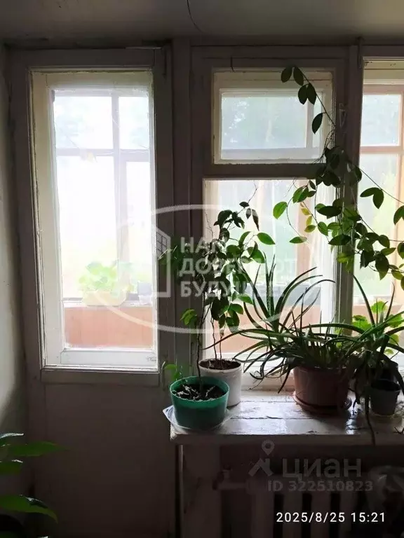 2-к кв. Пермский край, Пермь Сочинская ул., 8 (44.4 м) - Фото 2