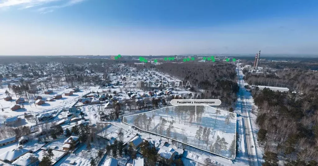 Офис в Новосибирская область, Новосибирский район, Барышевский ... - Фото 1