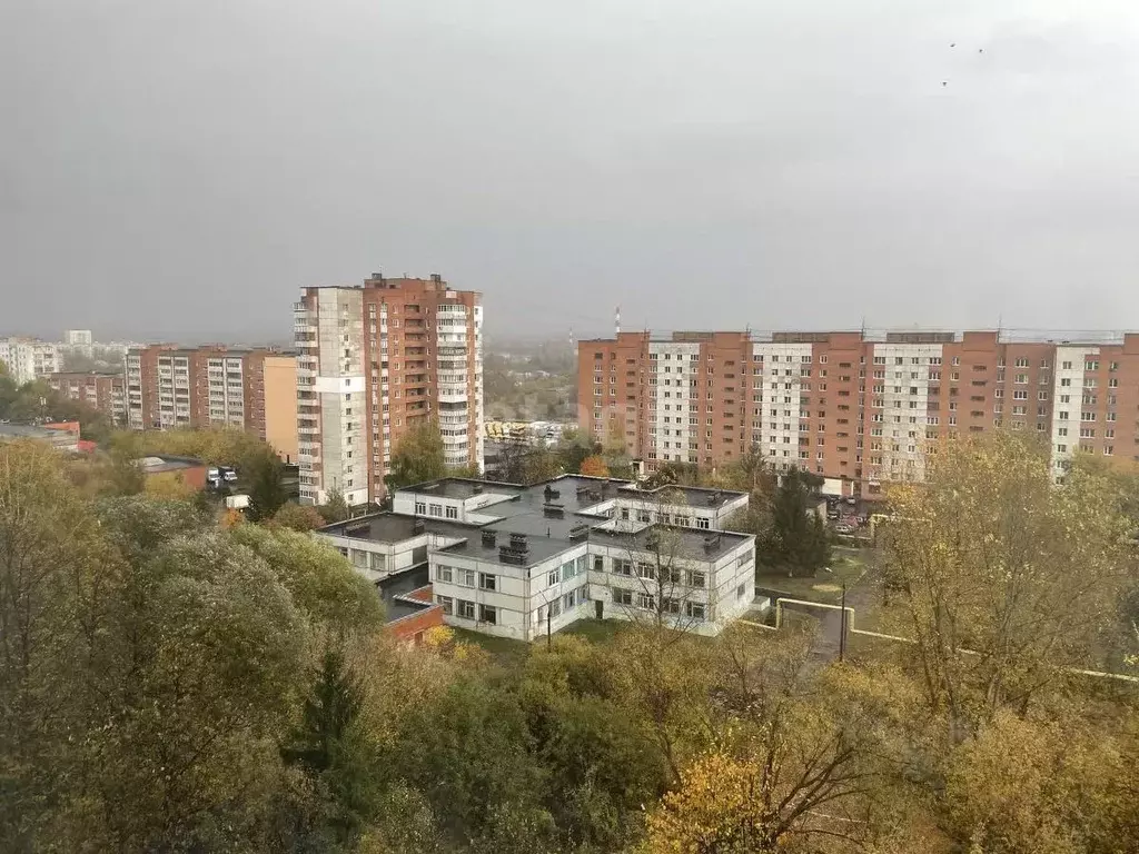 2-к кв. Пензенская область, Пенза ул. Кижеватова, 17 (54.0 м) - Фото 1