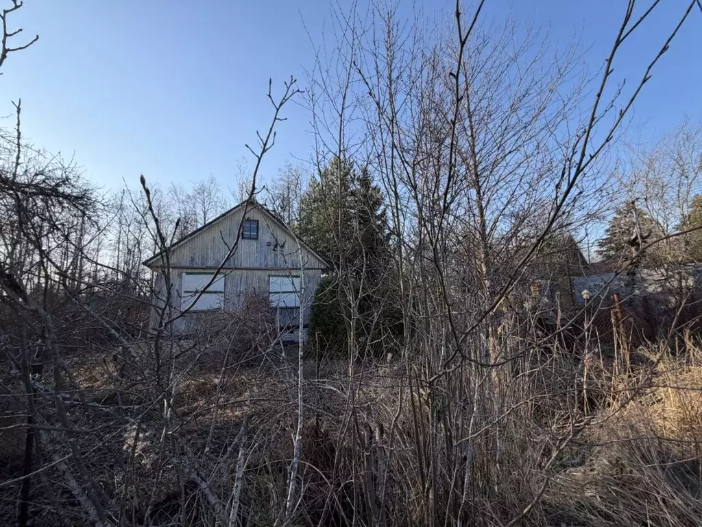 Участок в Ленинградская область, Кировский район, Синявинское ... - Фото 1