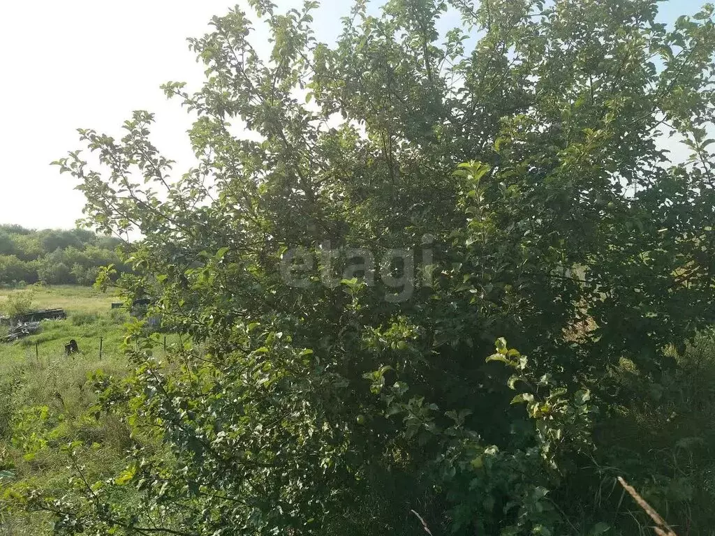 Участок в Ендовище, Нагорная улица (10 м) - Фото 1
