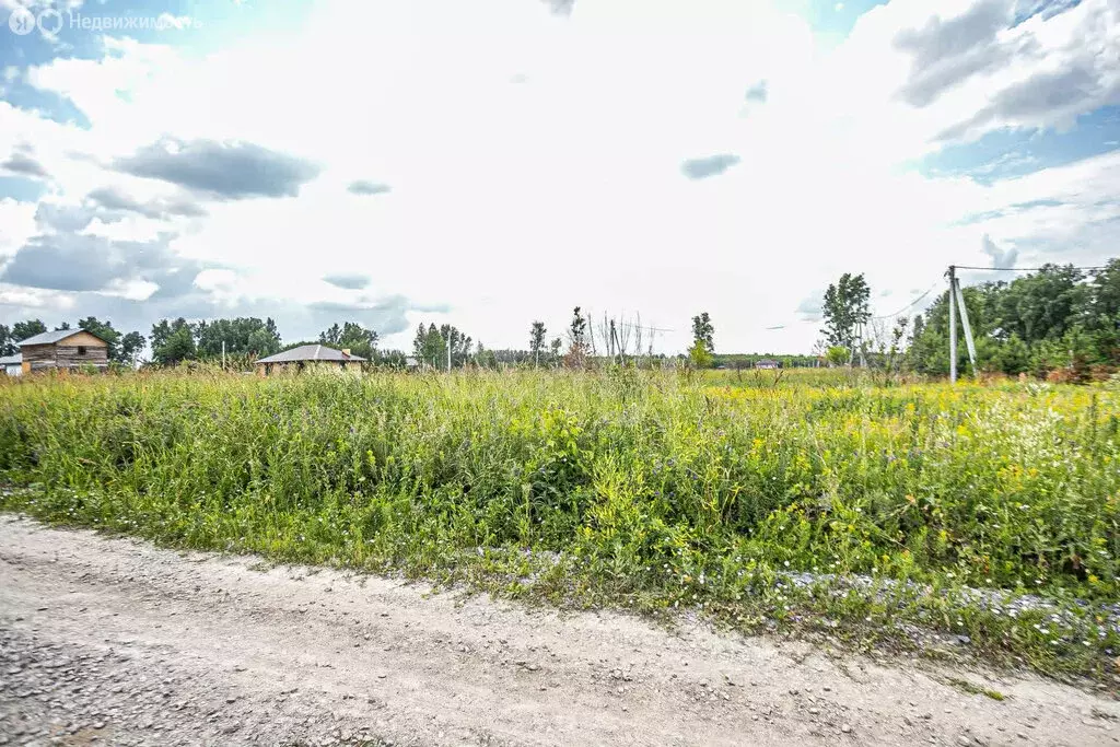 Участок в Бердск, микрорайон Раздольный (12 м) - Фото 1