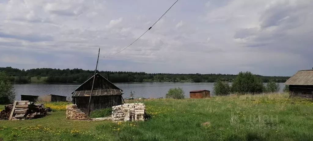 Участок в Вологодская область, Шекснинский муниципальный округ, д. ... - Фото 2