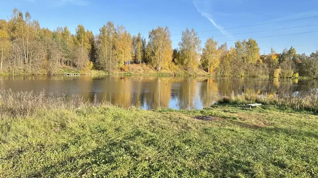 Участок в Ивановская область, Ивановский район, с. Ново-Талицы, ... - Фото 1