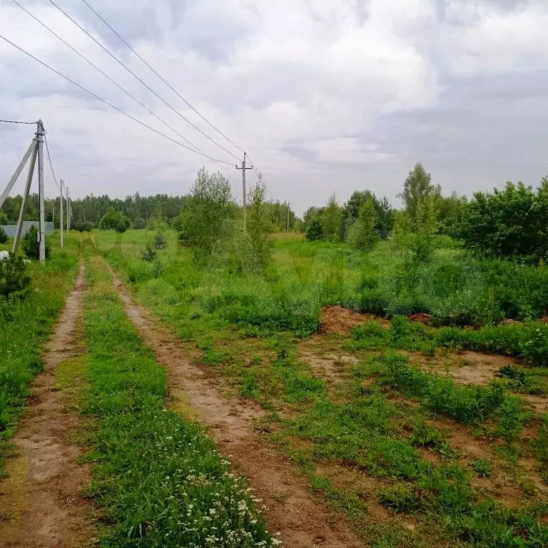 Участок 25,3 сот. (ИЖС) - Фото 1