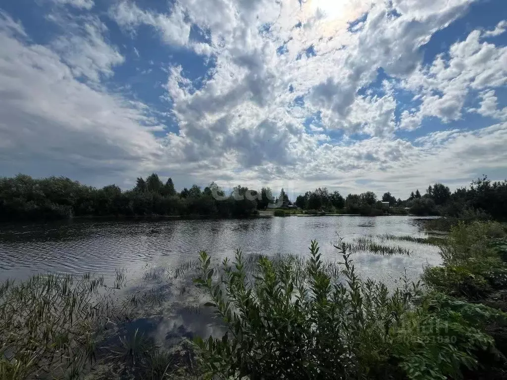 Участок в Новосибирская область, Колыванский район, Здоровье НДСТ  ... - Фото 0