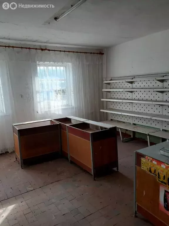 Торговая площадь (67 м) - Фото 1