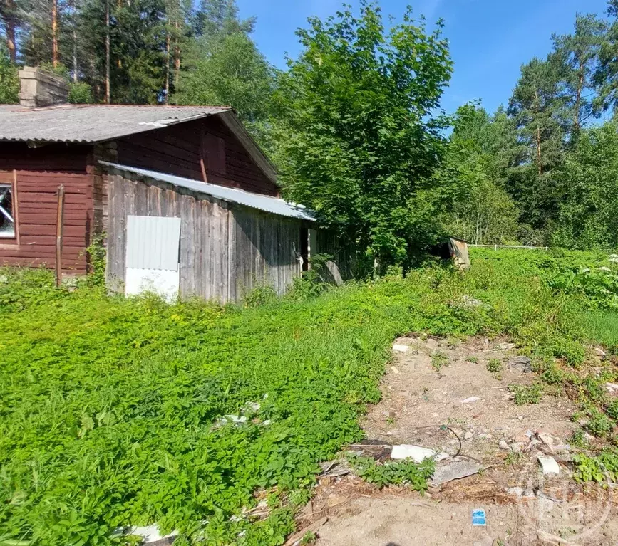 Дом в Ленинградская область, Выборгский район, Приморское городское ... - Фото 1