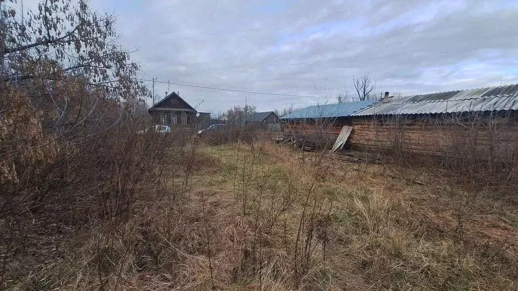 Участок в Оренбургская область, Бузулукский район, Колтубанский ... - Фото 2