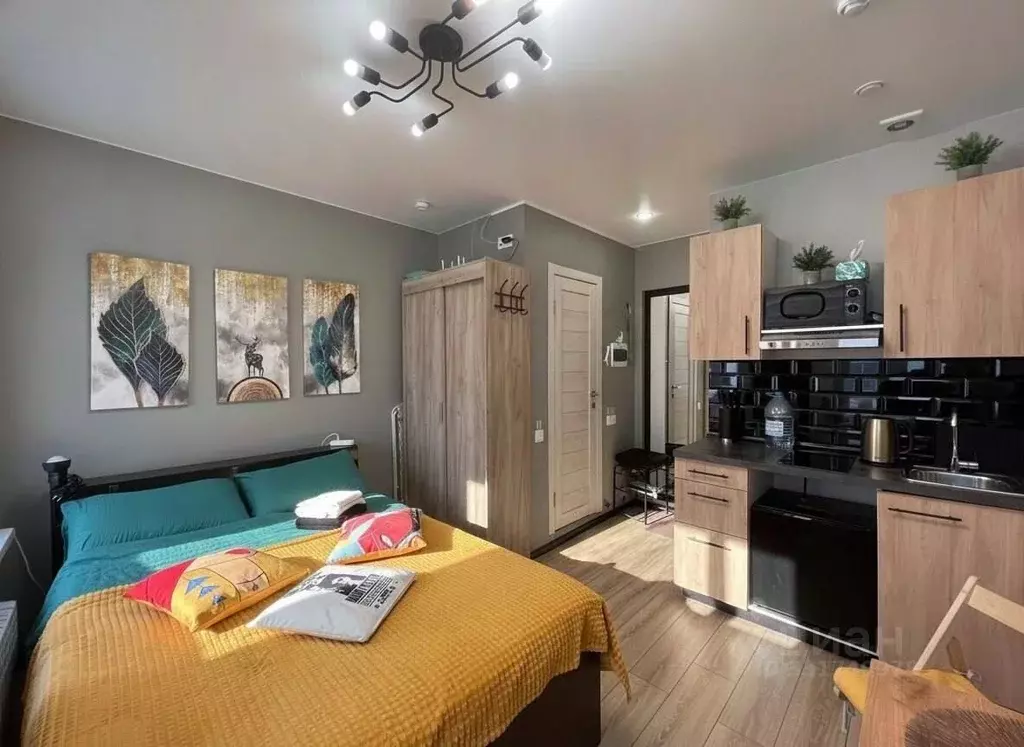 Студия Санкт-Петербург Московский просп., 20 (17.3 м) - Фото 1