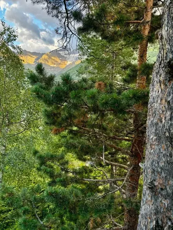 Дом в Кабардино-Балкария, Эльбрусский район, с. Терскол ул. ... - Фото 1