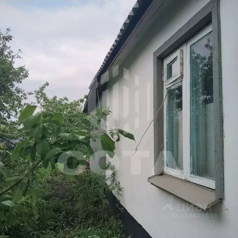 Дом в Воронежская область, Воронеж Вега-88 СНТ, ул. 12-я, 518 (17 м) - Фото 1