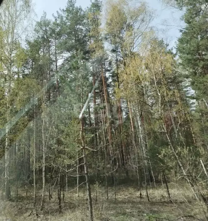 Участок в Свердловская область, Режевской городской округ, д. Сохарево ... - Фото 1