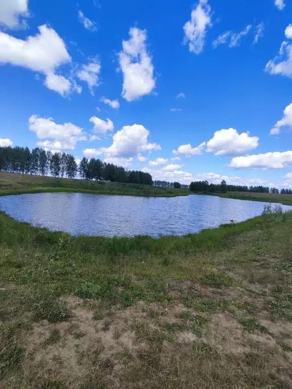 Участок в Нижегородская область, Дивеевский муниципальный округ, с. ... - Фото 0