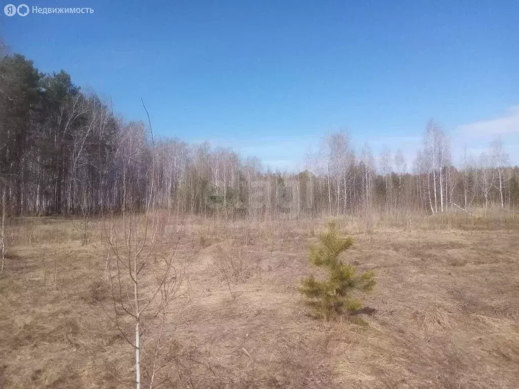 Участок в Тюменская область, Ярковский муниципальный округ, деревня ... - Фото 1