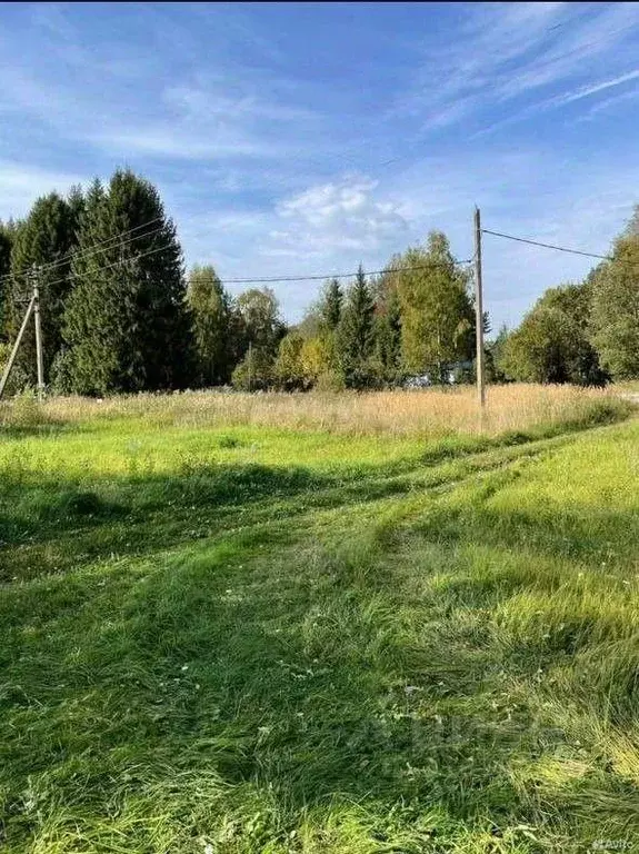 Участок, 12.5 сот., 0 - Фото 0